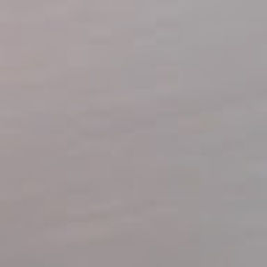 Meet your Posher, Leland